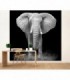 Fotomural Elephant 2P