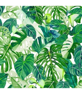 Papel pintado vinilico MONSTERA de TROPICANA HOME